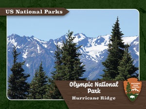 United States National Parks Collectible Trading Cards - Hobby Box